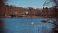 Ansicht vom See